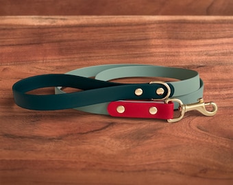Strawberry Matcha Waterproof Dog Leash | 3/4" Width | Biothane, 100% Handmade in USA, Solid Brass Hardware