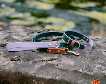 Waterproof Dog Collar & Leash Set | Lavender Spruce | Hands Free Leash, Forest Green, Solid Brass Hardware