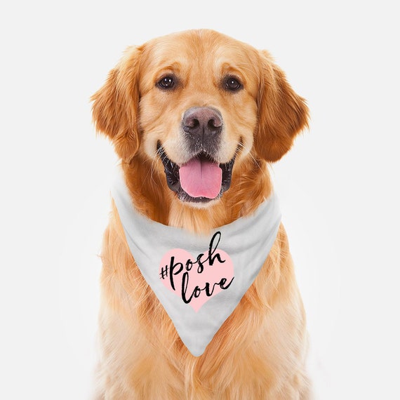 Etsy bandana dog hot sale