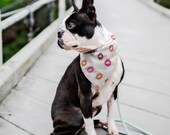 Girly Dog Scarf, Lipstick Kisses, Pet Bandana, Lips Print Pet Scarf, Lips Dog Scarf, Cute Pet Bandana, Fun Pet Scarf, Cute Dog Fashion