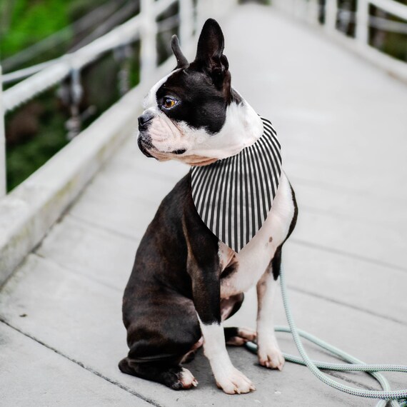 black and white dog bandana