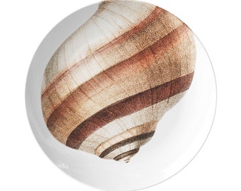 Seashell Plates, Set of 4, Striped Mollusk Shell Plate, Ocean Dinnerware, Plastic Plates