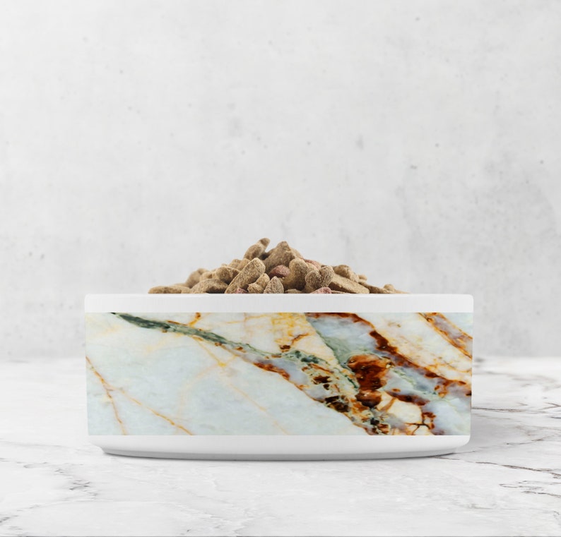 White ceramic pet bowl with white, grey and rust marble print sits on a white marble surface. Dry pet food fills the bowl.
