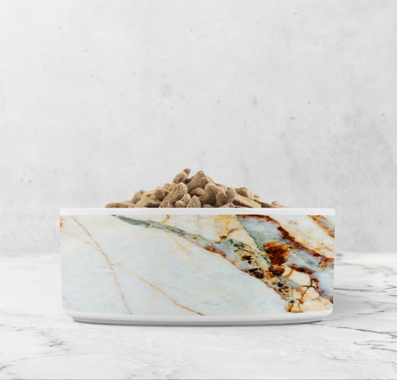 Pet 2024 dish tray