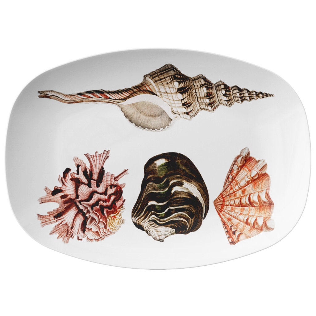 Seashell Dinnerware 