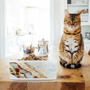 White ceramic pet bowl with grey and rust marble print shown on kitchen counter with a striped tiger cat.