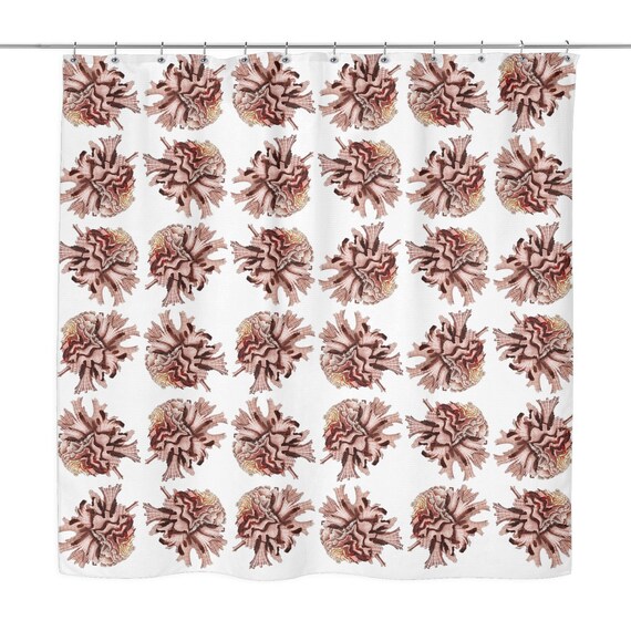 Shower Curtain Pink Murex Seashell Beach Decor Nautical Etsy