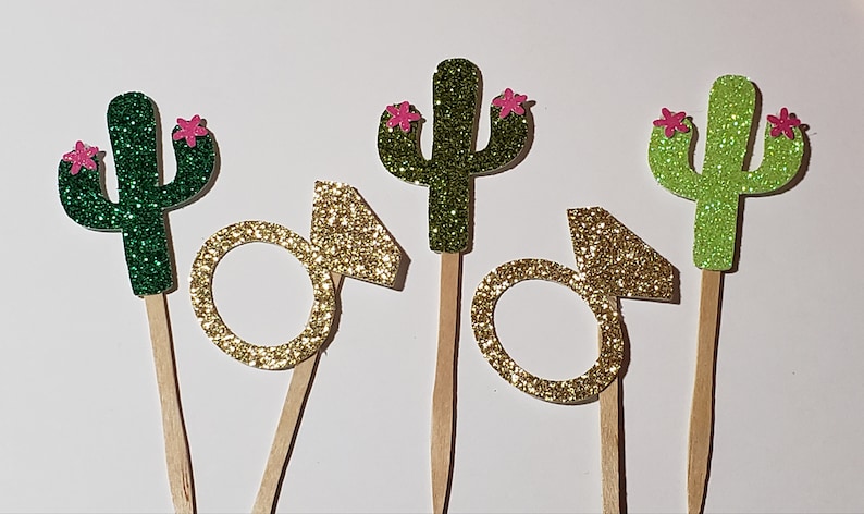 Cactus and Bridal Shower banner