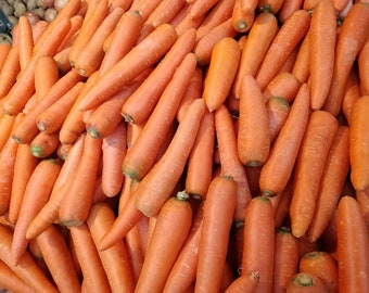 May include: A large pile of bright orange carrots. The carrots are arranged in a random pattern, with some carrots overlapping others.