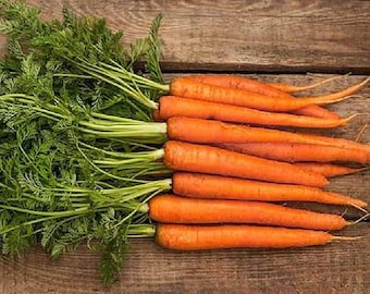 May include: A bunch of fresh orange carrots with green leafy tops on a wooden surface.