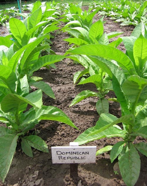 ohio 21 tobacco tobacco age ohio Ohio's new Tobacco 21 Law becomes effective today making  it illegal to give,