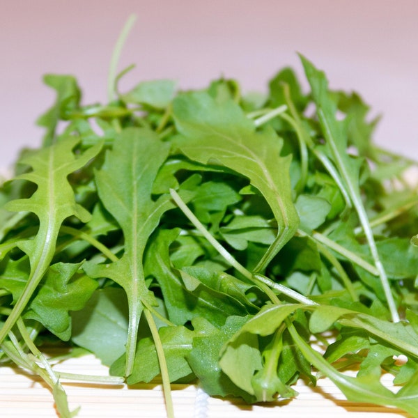 1000 Arugula Seeds - Non-GMO Heirloom Herb Seeds - Delicious Flavor