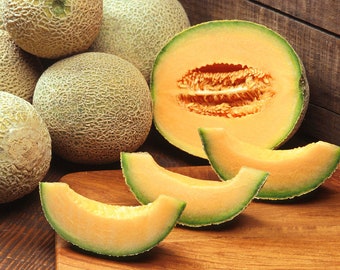 125 Hale's Best Jumbo Cantaloupe Seeds - Non-GMO Heirloom Cantaloupe - Fast!