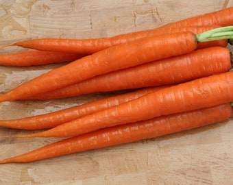 May include: A bunch of fresh orange carrots with green tops on a wooden surface.