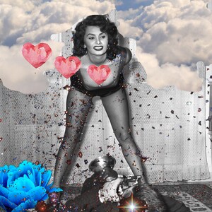 Sophia&#39;s Heart