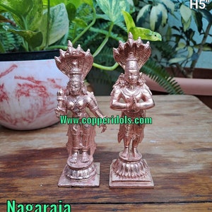 Prasiddh copper idols present copper idol of nagaraja and nagarani