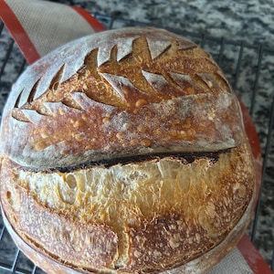 sourdough bread