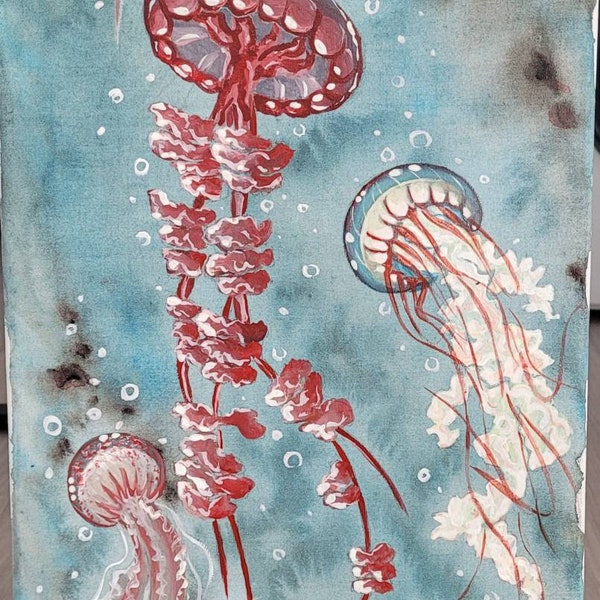 Jellyfishes