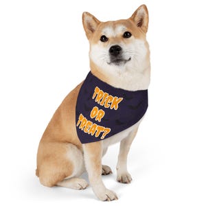 Halloween Pet Bandana: Trick or Treat Dog Collar, Festive Costume