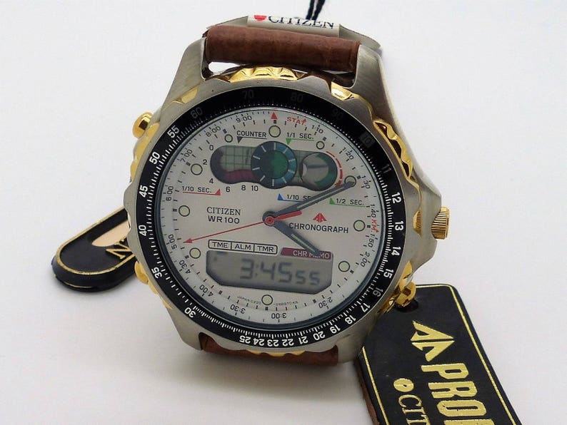 citizen promaster chrono
