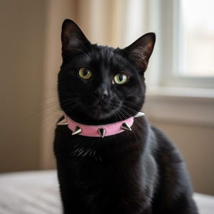 Spiked Velvet Pink Breakaway Cat Collar with Bell – Rock Kitty Style for Fierce Felines!