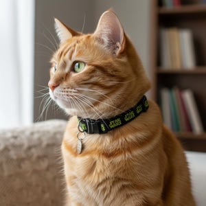 May the Forth be with You Black Safety Breakaway Cat Collar and Bell