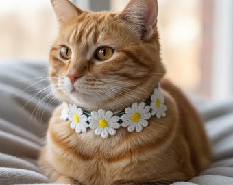 Green Velvet with Daisies Safety Cat Collar with bell