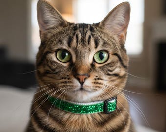 Green Glitter Safety Cat Collar, Tinsel, Kitten Collar, Lightweight, Handmade, Breakaway Buckle