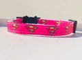 Vivid Pink Supercat Safety Breakaway Cat Collar and Bell product logo