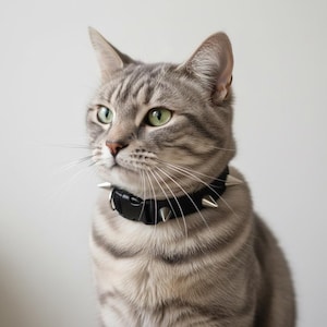Black Spike Cat Collar – Velvet Breakaway Safety Collar with Bell