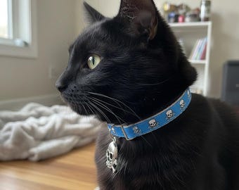 鮮やかなブルーのスカル柄猫用首輪、子猫に安全なブレイクアウェイ首輪、スカルチャーム