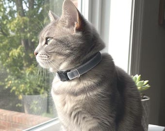 Grey Velvet Safety Cat Collar and bell