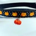 see more listings in the Cat Collars section