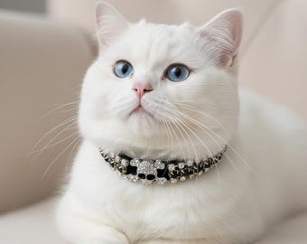 Collar y cascabel para gato con calavera de cristal de terciopelo negro