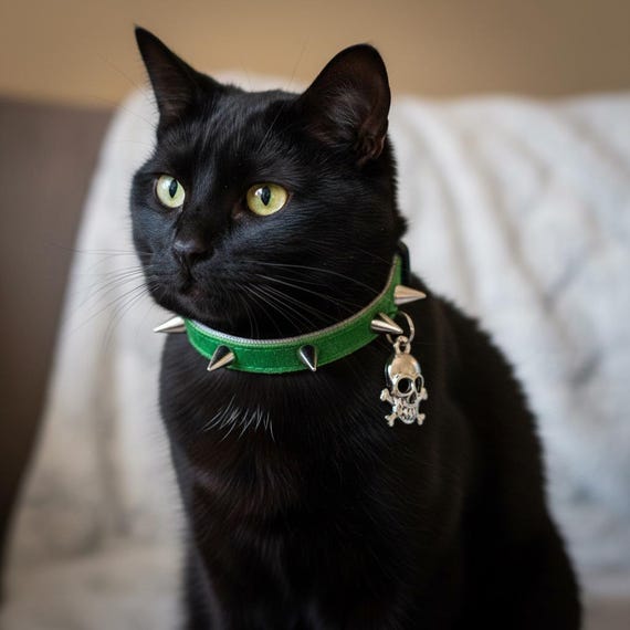Katzenhalsband mit Spikes aus Samt: Rockiges Kitty Sicherheitshalsband mit  Glocke - Etsy.de