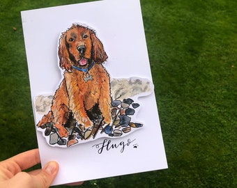 Custom Pet Portrait, Custom Dog portrait illustration, Custom cat illustration drawing, Hand drawn watercolour
