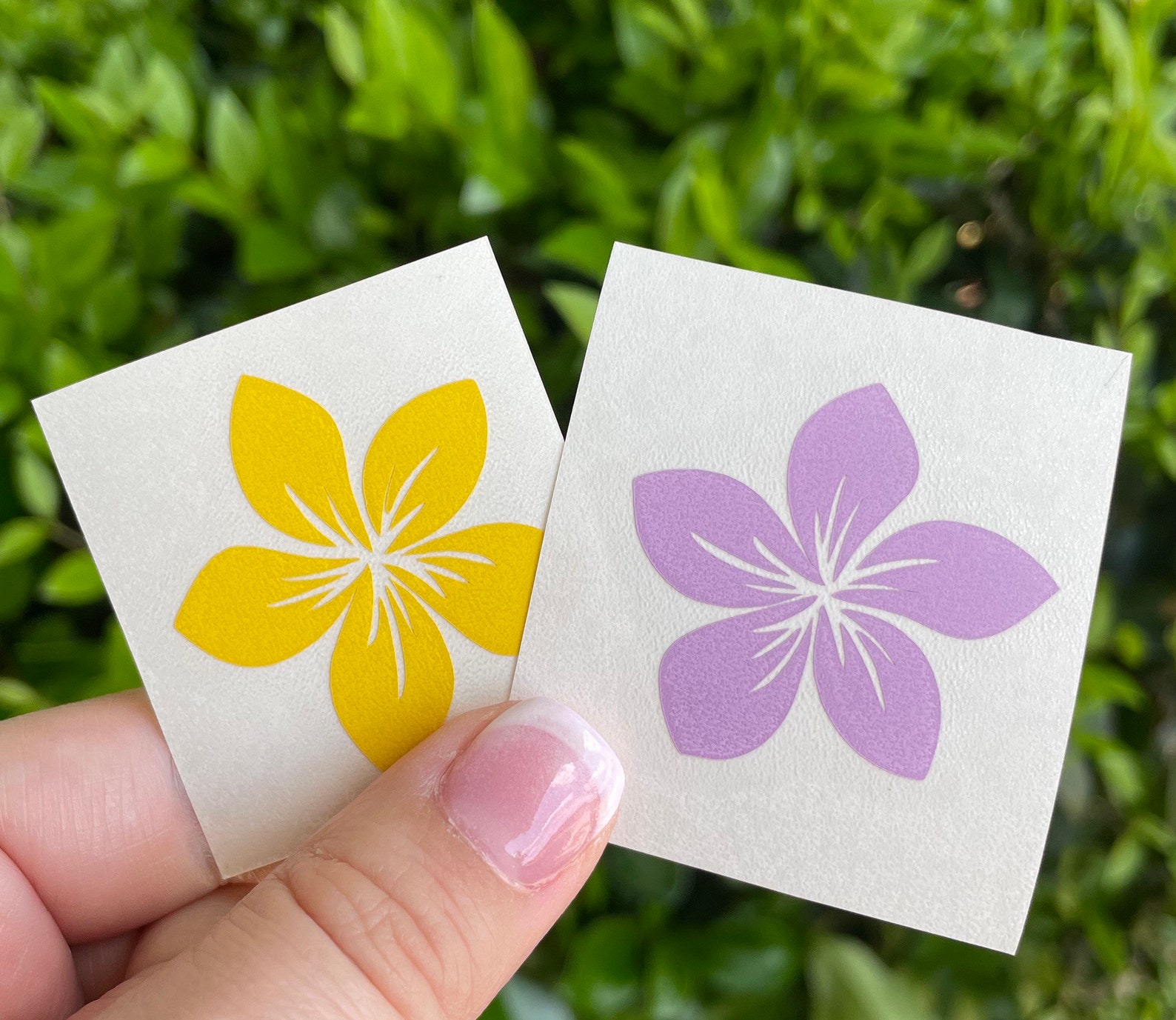 Plumeria decal plumeria sticker tropical flower decal Etsy