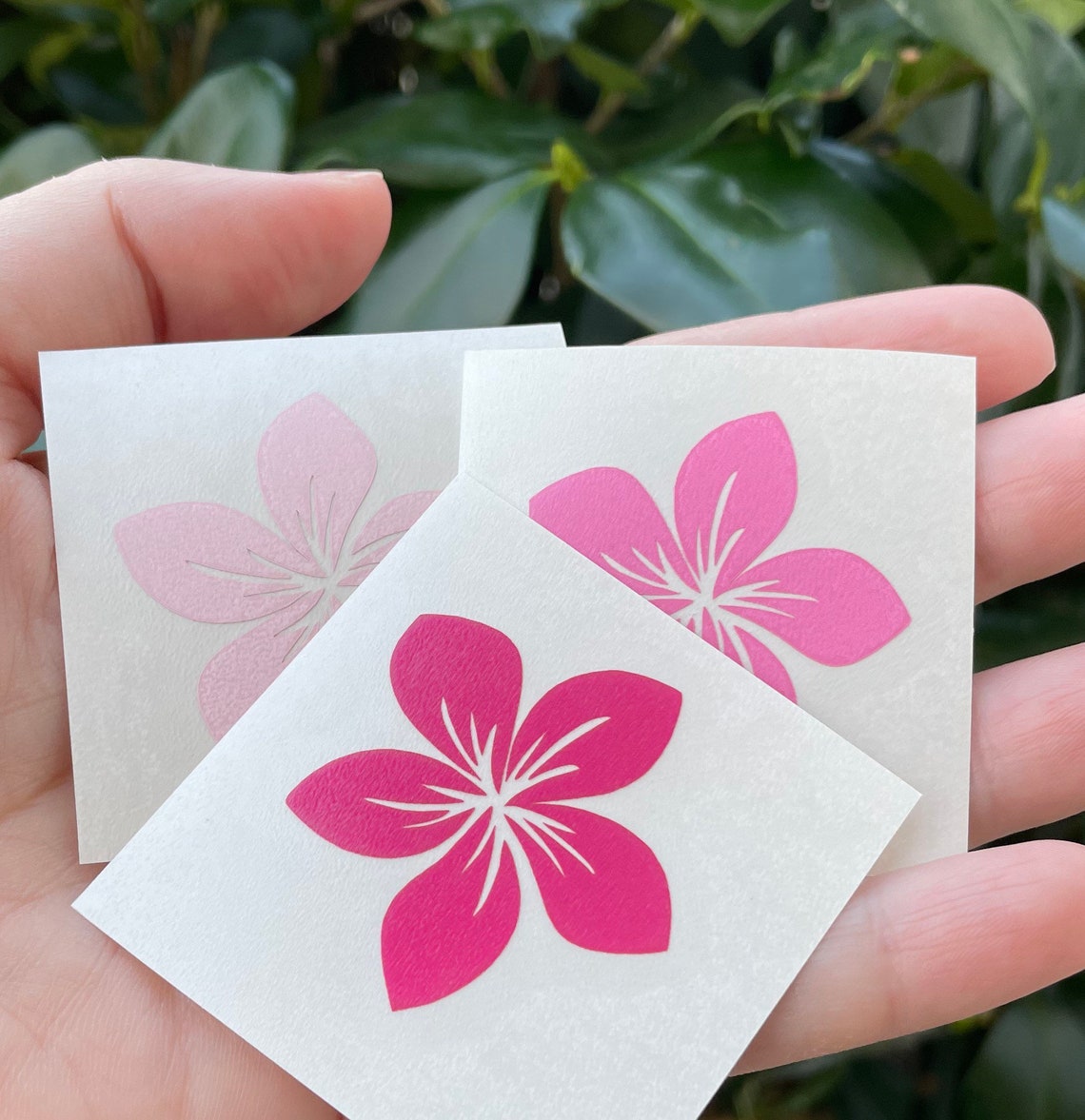 Plumeria decal plumeria sticker tropical flower decal Etsy