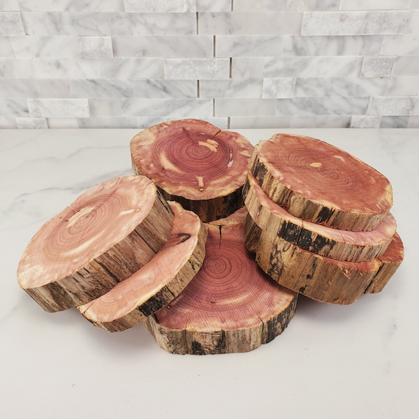 Fresh Red Cedar Tree Slices, Set of 6 Real Cedar Craft Slices, 3-3.5" Round, 1/2" & 1" Thick, Cedar Slices For Crafts, Cedar Wood Coasters