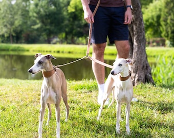 Multi-Use Dog Lead