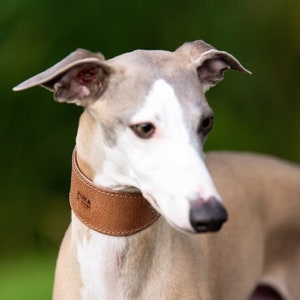 Whippet Collar Etsy