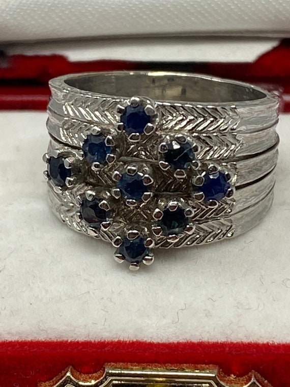 Vintage 14Kt White Gold Sapphire Ring with a Prof… - image 1