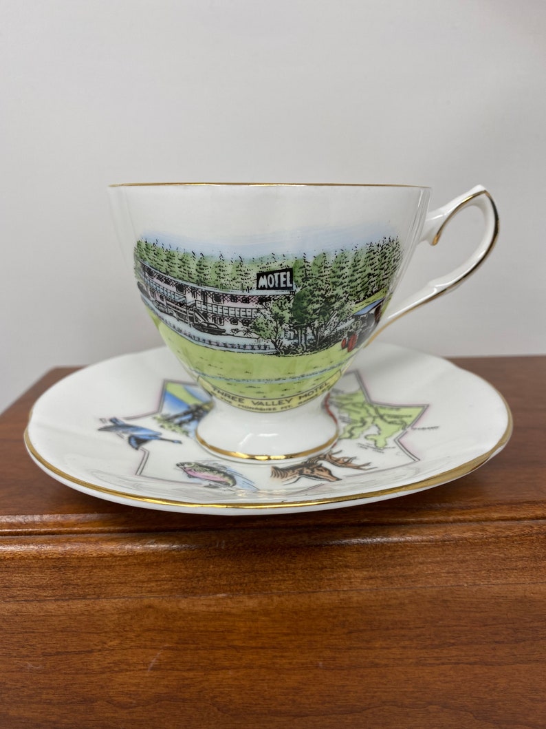 Taylor /& Kent Three Valley Motel Teacup and Saucer.