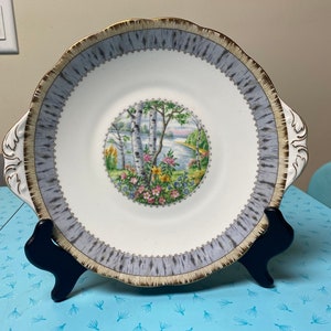 ロイヤルアルバート シルバーバーチ ケーキプレート - Etsy 日本