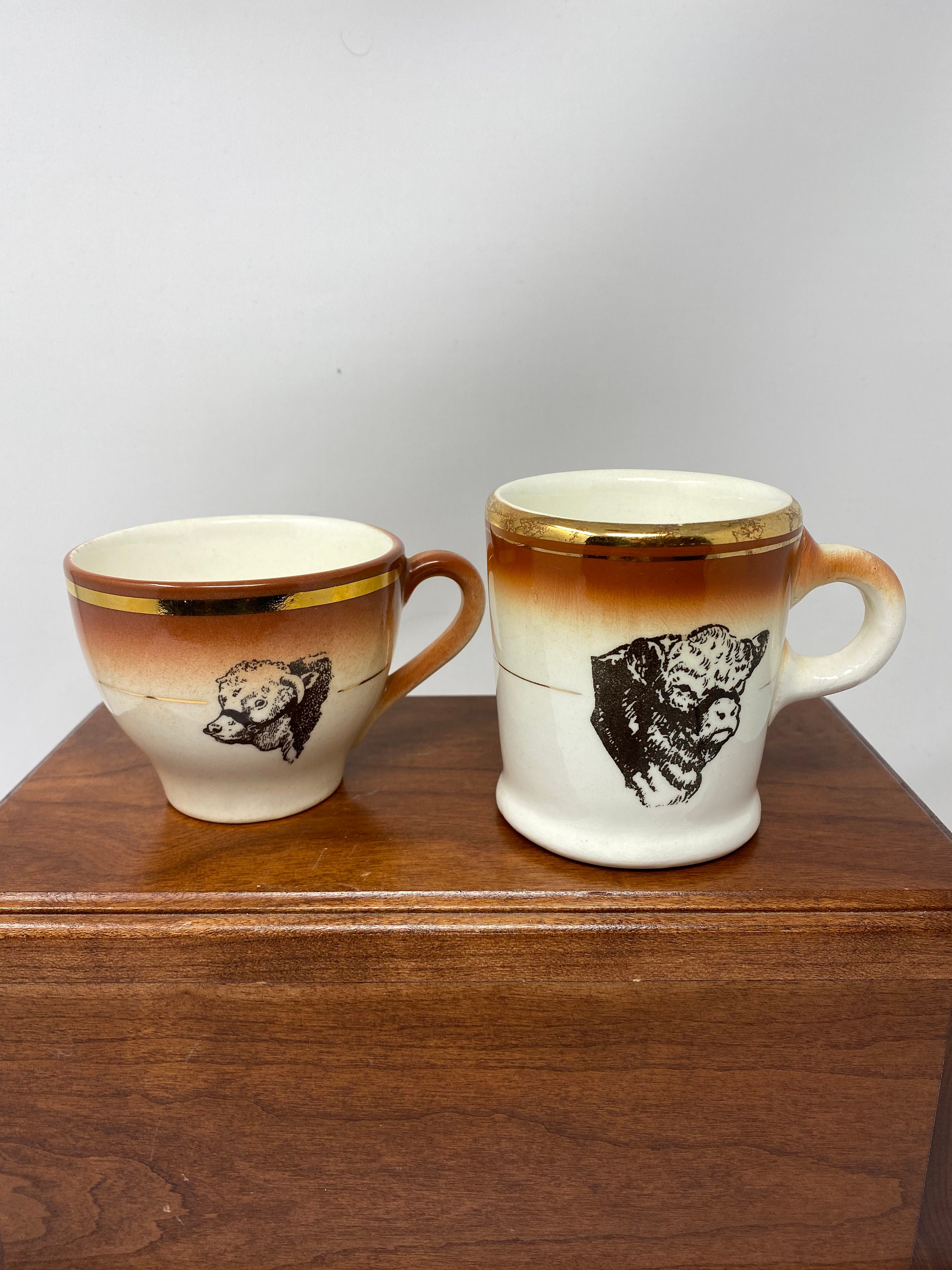 Vintage Hycroft China Medicine Hat Mug and Cup. Etsy