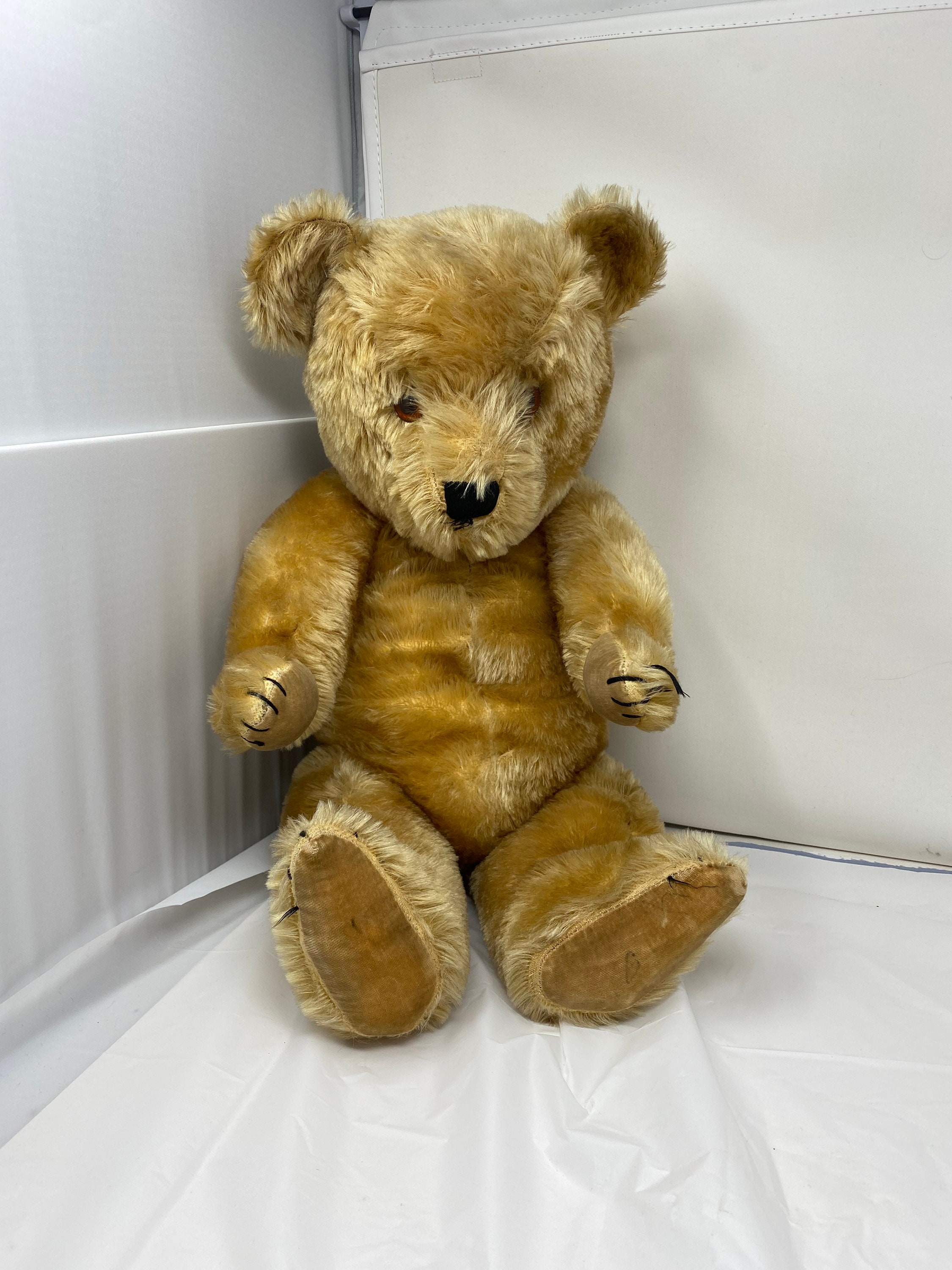 Peluche Ours Vintage - Yeux En Verre, Vêtement Tricoté, Avec Bruits | Occasion | #256712