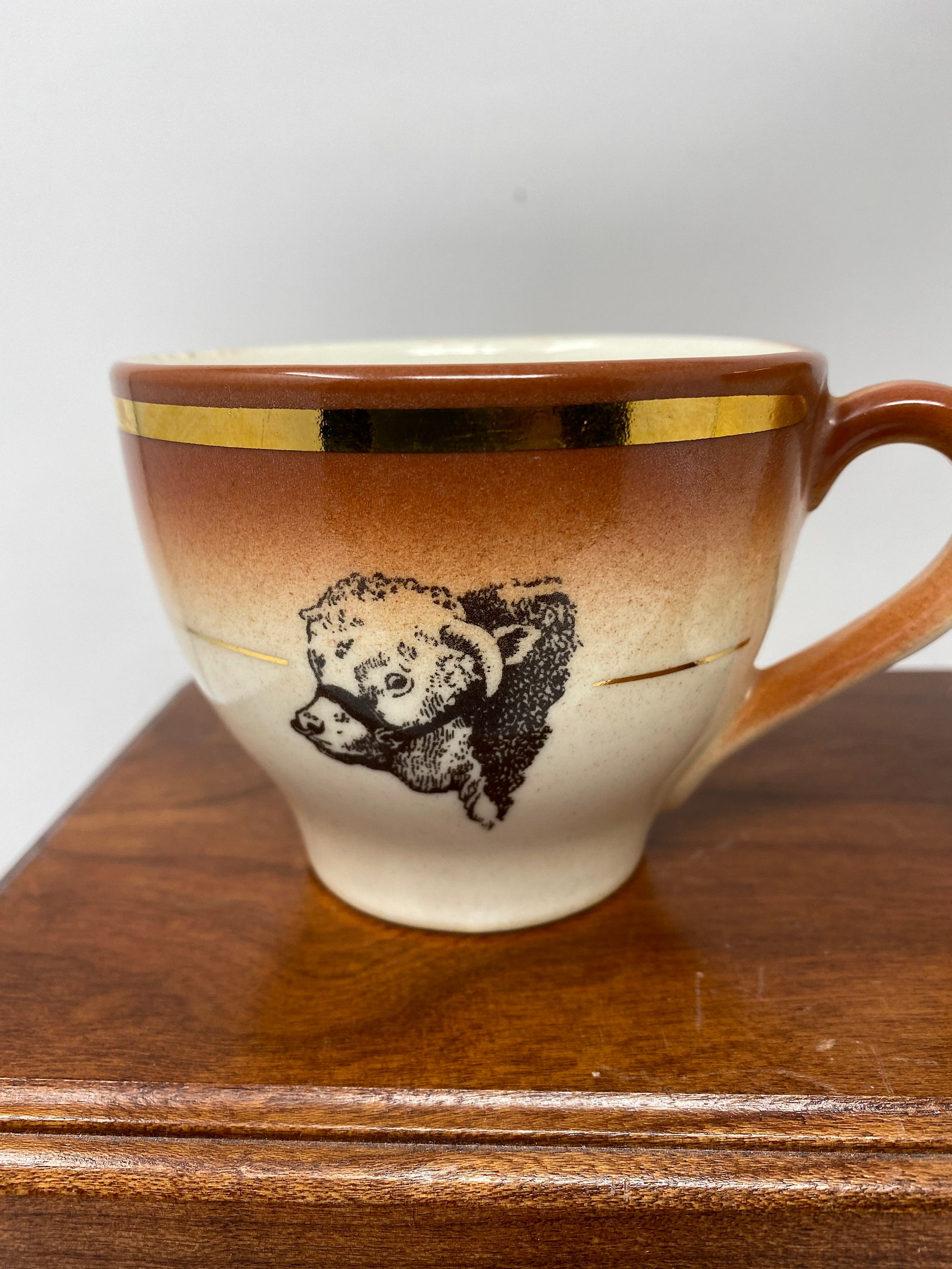 Vintage Hycroft China Medicine Hat Mug and Cup. Etsy