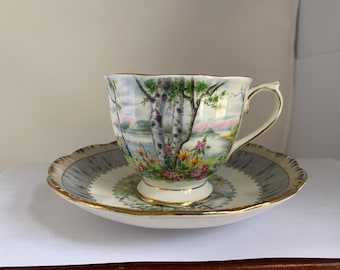 Royal Albert Silver Birch teacup and Saucer