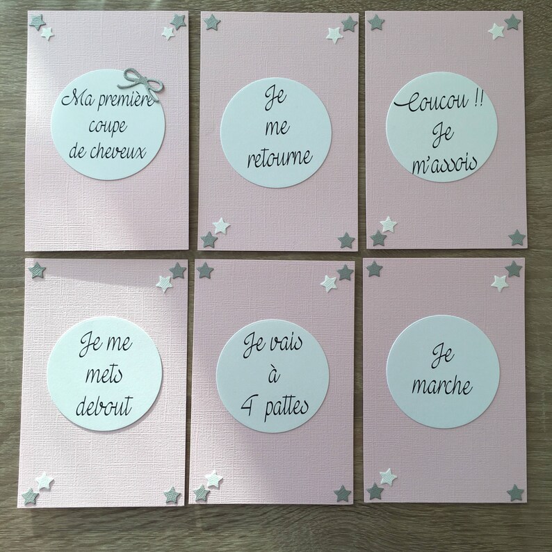 Complete set baby/'s first year pink flamingos theme