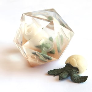 May include: A clear resin dice with a turtle inside. The dice has the numbers 1 through 6 on its faces. A small turtle figurine is next to the dice.
